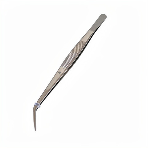 BRUCELLE A BECS COURBES 