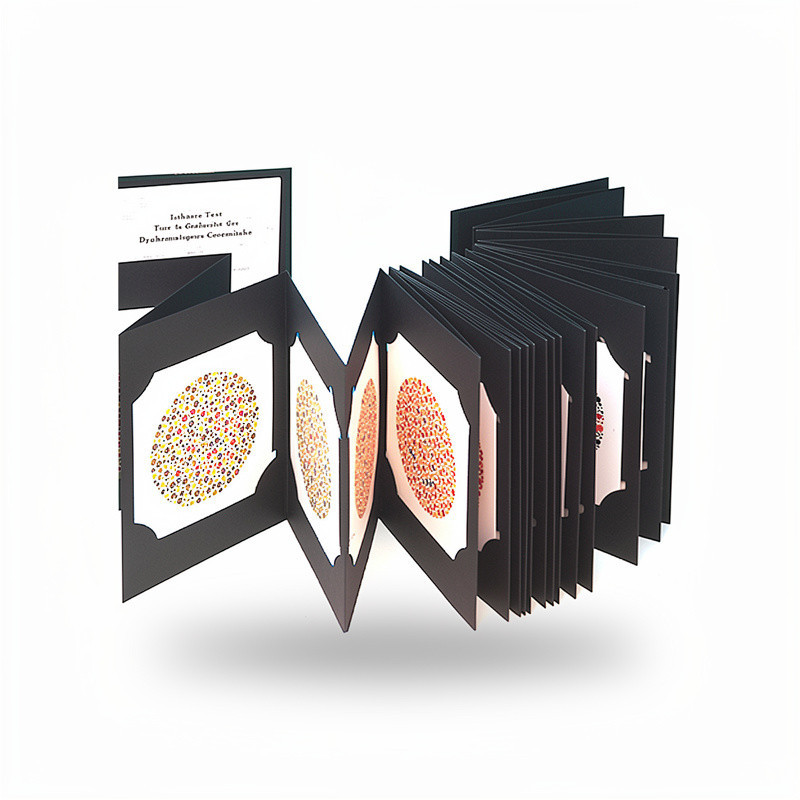 TEST D'ISHIHARA 38 PLANCHES